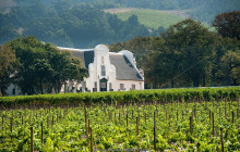 shine the way tours11