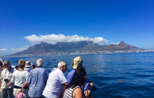 shine the way tours13