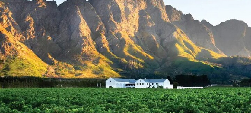 Franschhoek Wine Tram Hop-On Hop-Off Tour From Cape Town