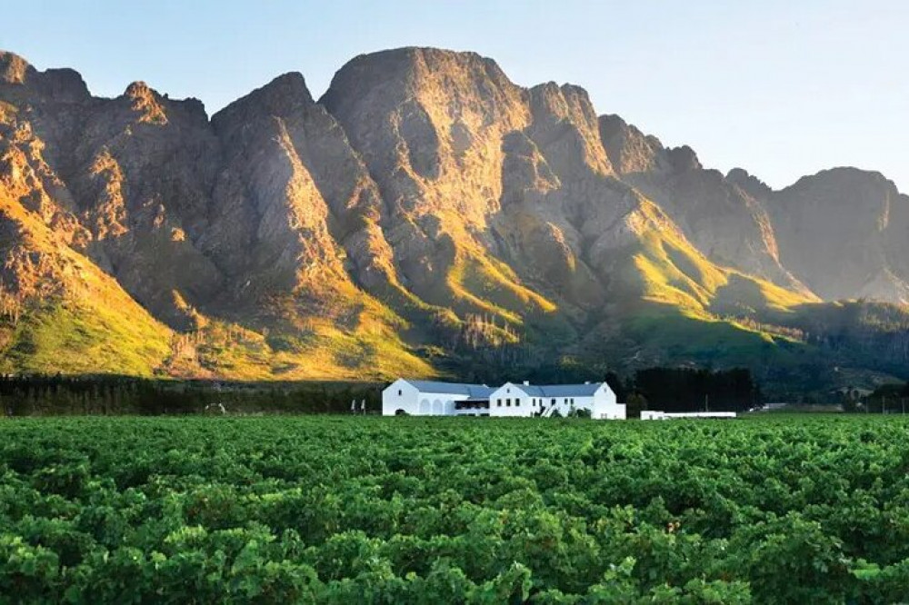 Franschhoek Wine Tram Hop-On Hop-Off Tour From Cape Town