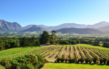 shine the way tours2