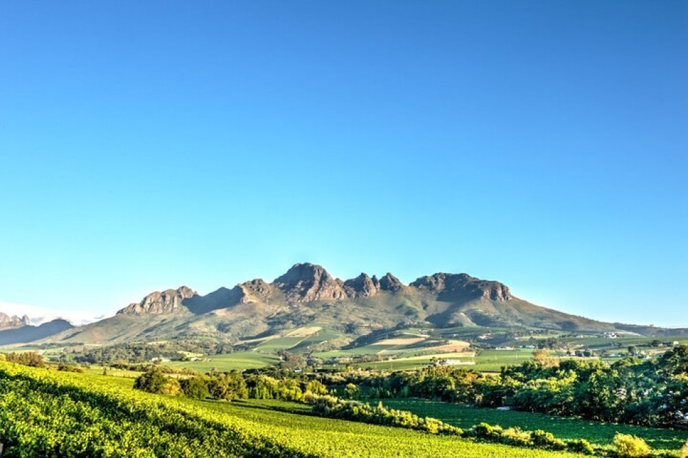 Private Full-Day Stellenbosch Wine Tour
