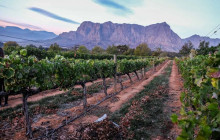 shine the way tours4