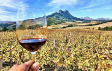 shine the way tours7