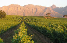 shine the way tours9