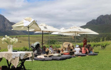 shine the way tours11