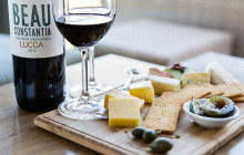 shine the way tours2