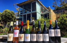 shine the way tours7