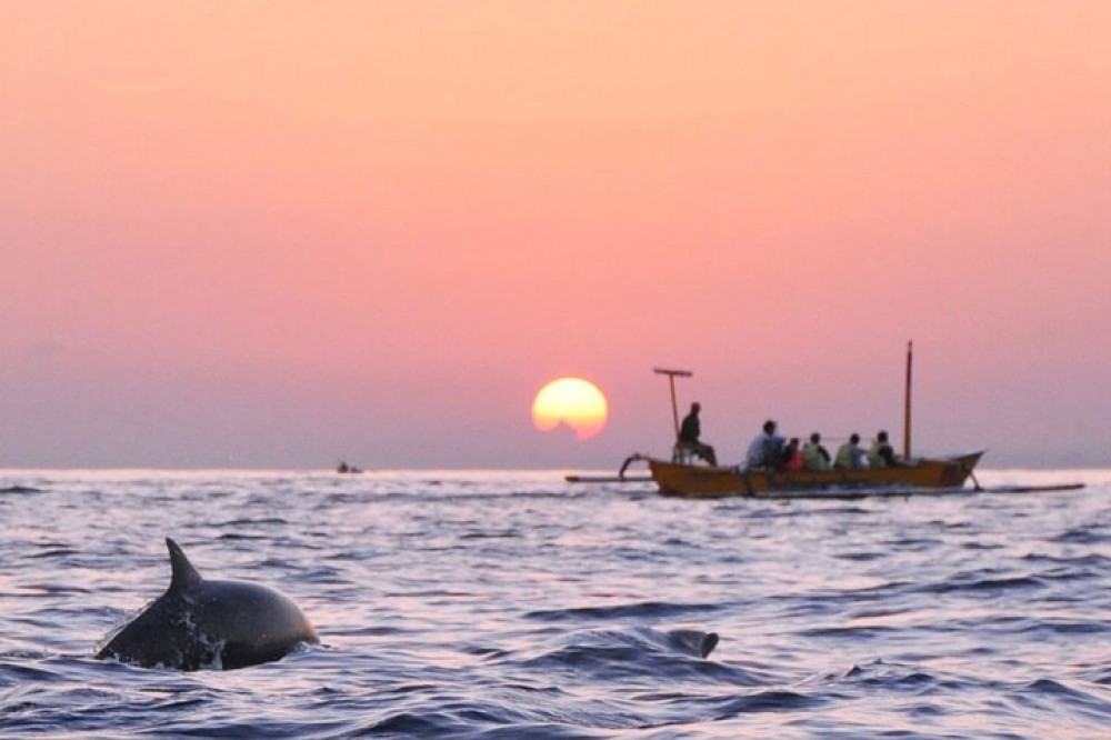 Lovina Dolphin Swim & Snorkel Sunrise With Scenic Viewpoints
