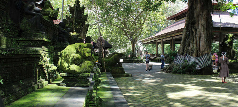 Best of Ubud Tour: Monkey Forest, Swing, Rice Terrace, Temple