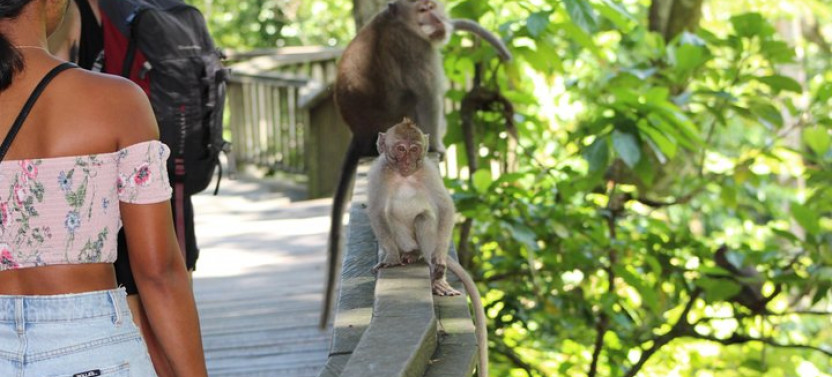 All-Inclusive Ubud Tour: Swing, Waterfall, Temple & Rice Terrace