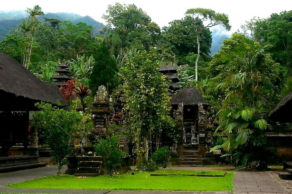 Private Tour to Water Temples, Waterfall and UNESCO Rice Terraces
