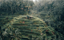 Bali Yowana Tour7