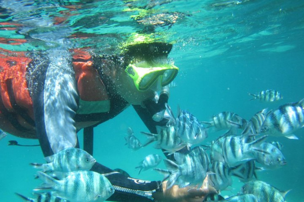 Amazing Blue Lagoon Snorkeling with Private Hotel Transfer