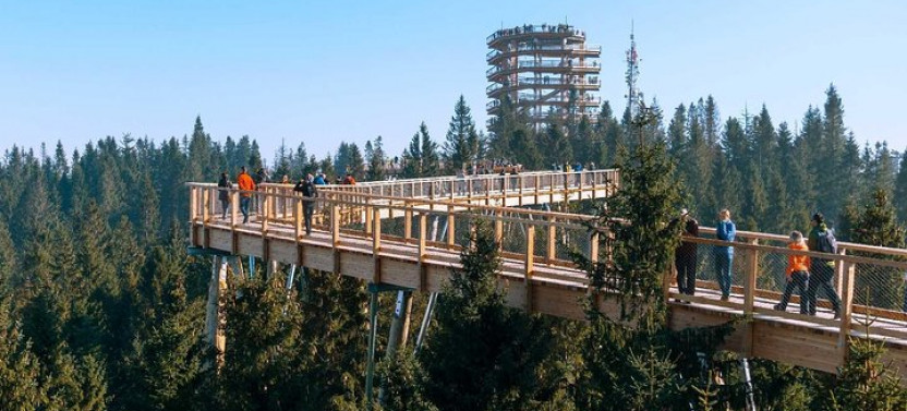 From Krakow: Morskie Oko in the Tatra Mountains and Slovakia Treetop Walk