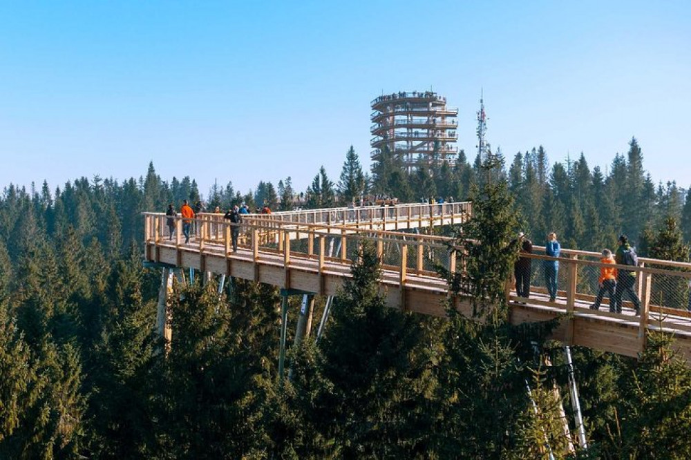 From Krakow: Morskie Oko in the Tatra Mountains and Slovakia Treetop Walk