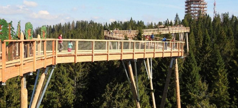 From Krakow: Morskie Oko in the Tatra Mountains and Slovakia Treetop Walk