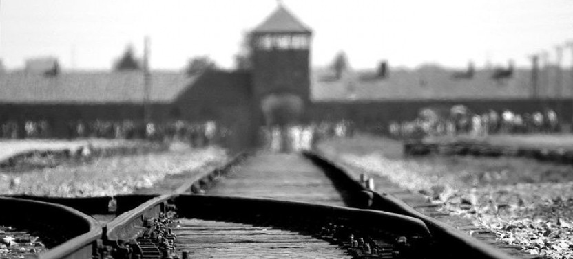 From Krakow: Private Transfer to Auschwitz-Birkenau