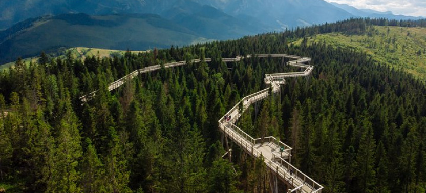 From Krakow: Zakopane, Slovakia Treetop Walk & Thermal Baths