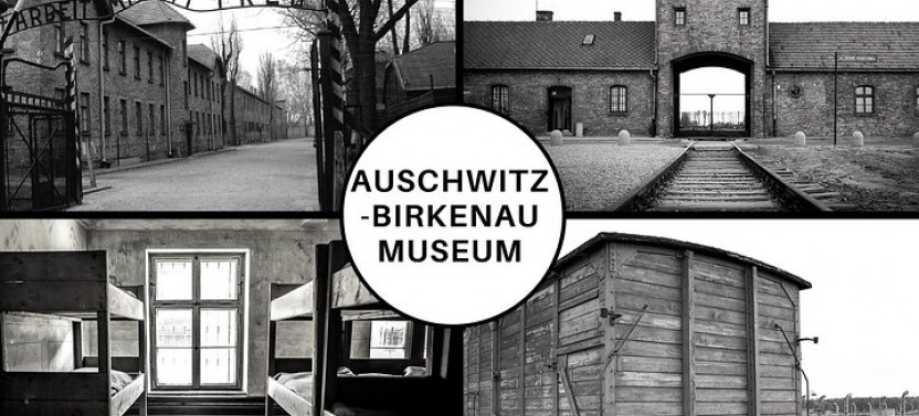 Auschwitz-Birkenau Live Guided Tour and Transfer from Krakow