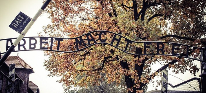 Auschwitz-Birkenau Live Guided Tour and Transfer from Krakow