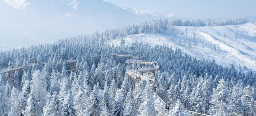 From Kraków: Slovakia Treetop Walk and Bachledka Ski