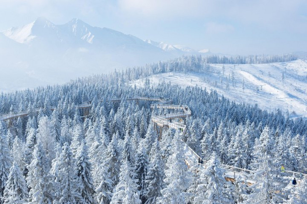 From Kraków: Slovakia Treetop Walk and Bachledka Ski