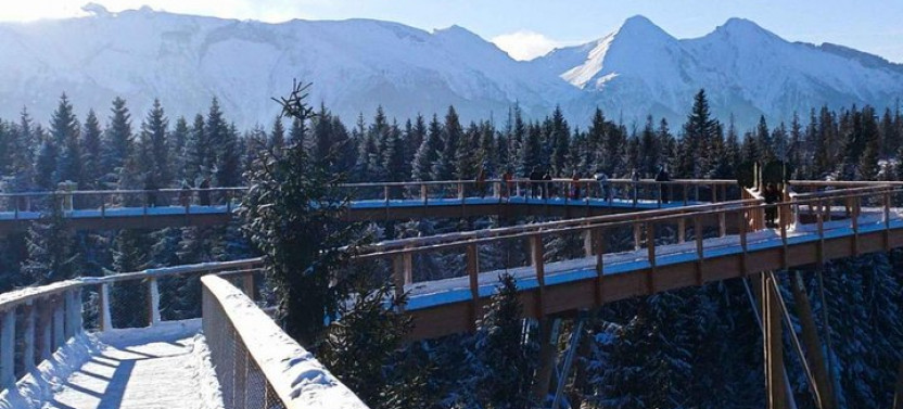 From Kraków: Slovakia Treetop Walk and Bachledka Ski
