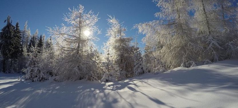From Krakow: Siepraw Skiing for Beginners