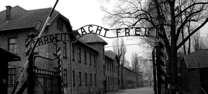 From Krakow: Auschwitz-Birkenau and Salt Mine with Private Transfer