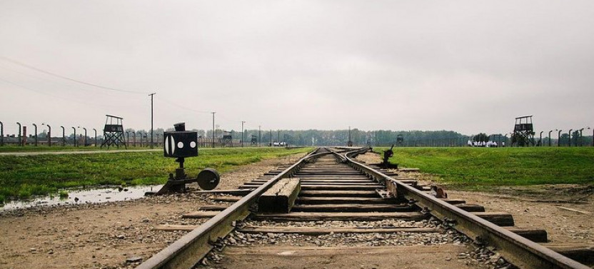 From Krakow: Auschwitz-Birkenau and Salt Mine with Private Transfer