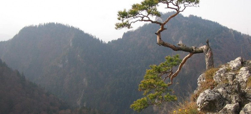 From Krakow: Zakopane and Dunajec Pontoon Rafting