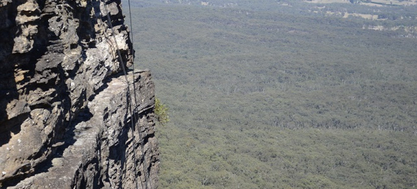Spectacular Half Day Abseiling Adventure - Blue Mountains