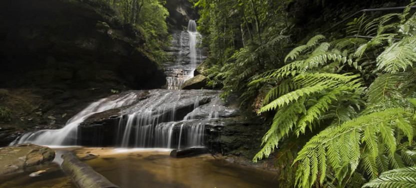 Empress Canyon Abseiling and Canyoning Adventure - Blue Mountains