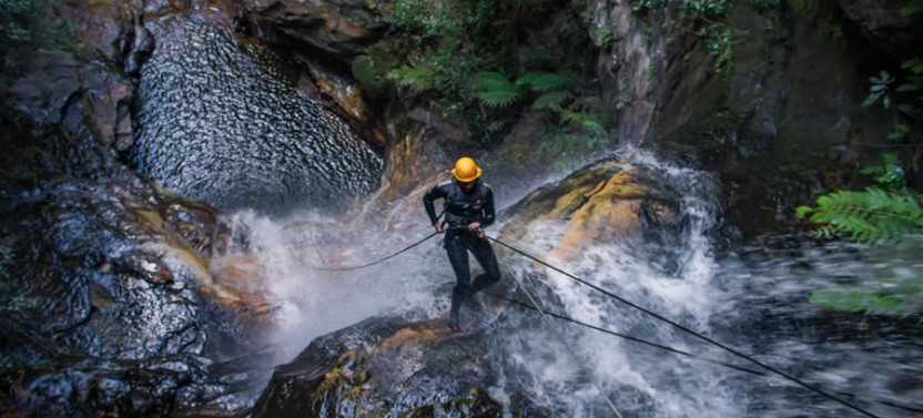 Empress Canyon Abseiling and Canyoning Adventure - Blue Mountains