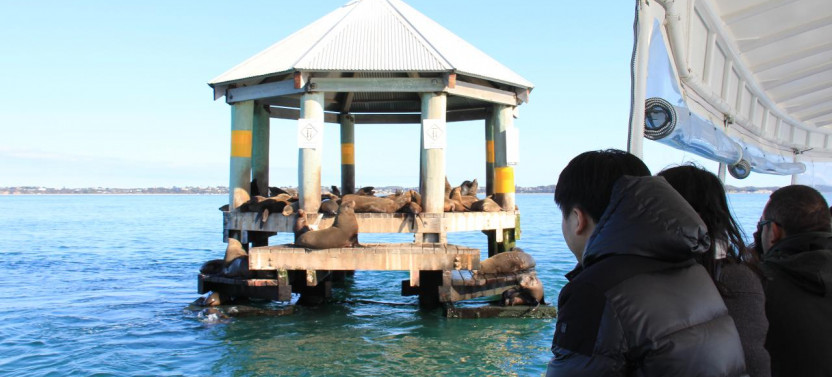 1.5 Hour Wildlife Adventure Cruise