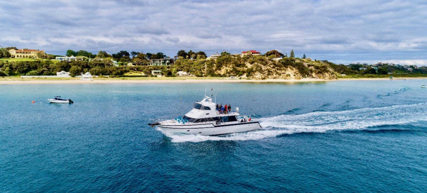 1.5 Hour Wildlife Adventure Cruise