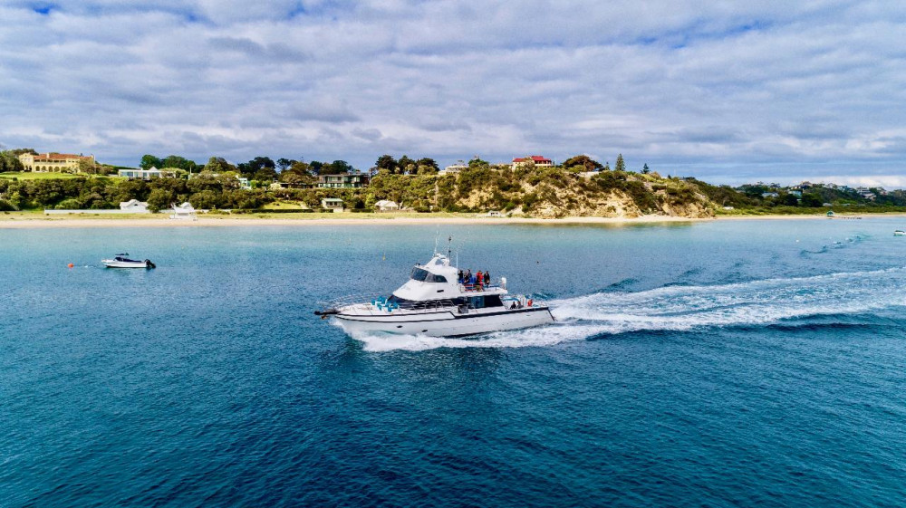 Private Cruise of Sorrento - Portsea Coastline