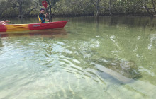 Go Sea Kayak Byron Bay1