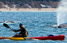 Go Sea Kayak Byron Bay13