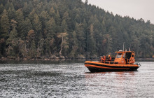 Vancouver Island Whale Watch2