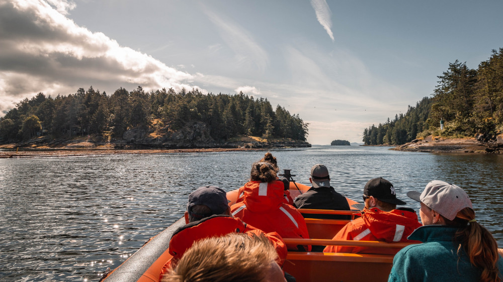 Signature Whale Watching Tour - Open Boat