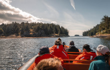 Vancouver Island Whale Watch1