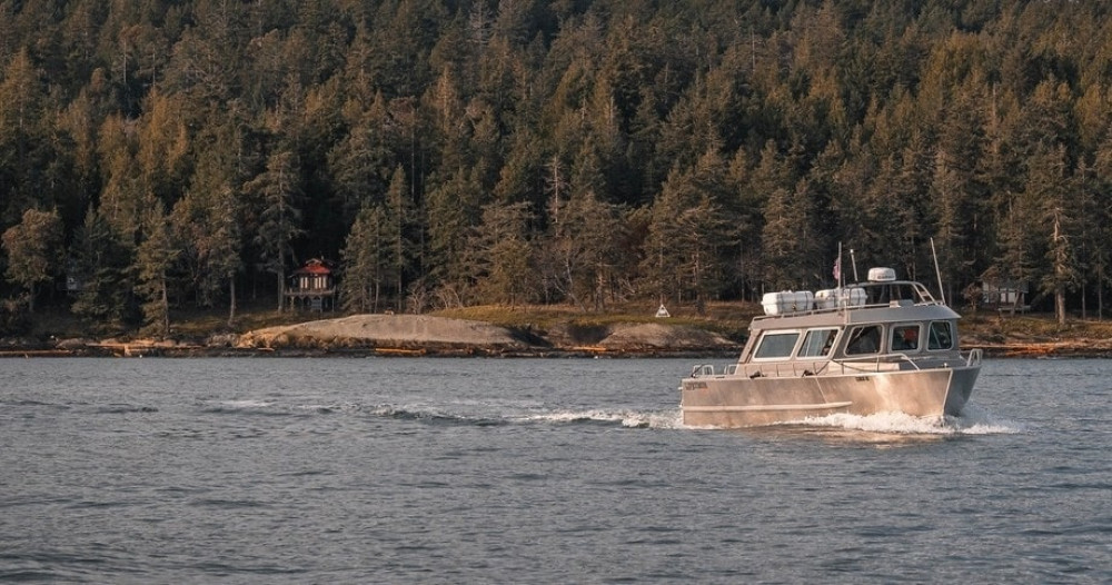 Signature Whale Watching Tour - Semi-Covered Boat