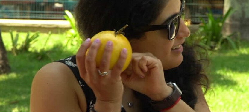 Taste 17+ Tropical Brazilian Fruits At A Lively Farmers Market