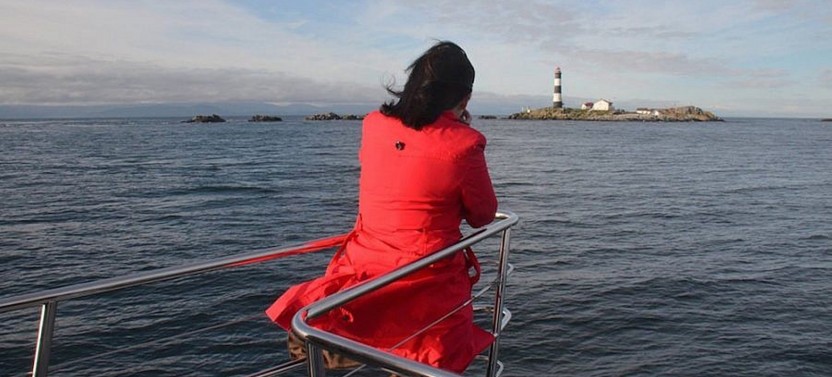Wildlife Watching – Winter/Spring - Whale Guarantee