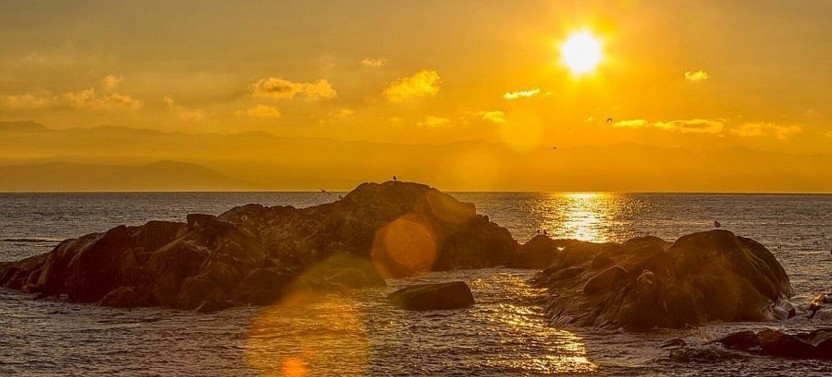 Whale Watching - Sunset - Open Boat - Whale Guarantee