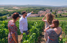 Bordovino Wine Tasting Day Tours2