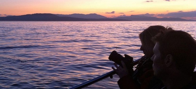 Whale Watching - Sunset - Semi-Covered Boat - Whale Guarantee