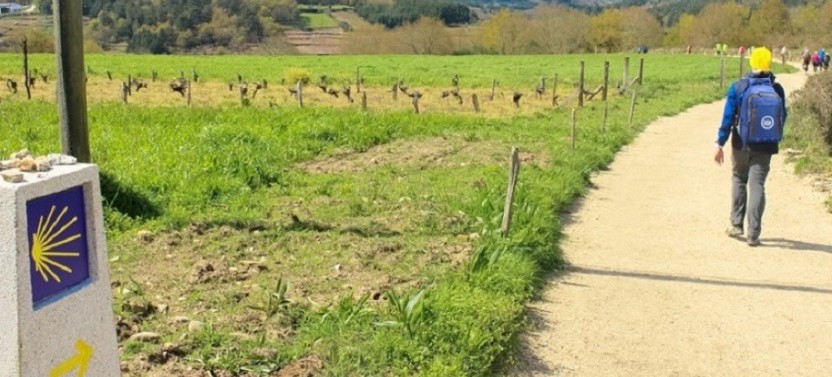 Santiago de Compostela Full Day Tour